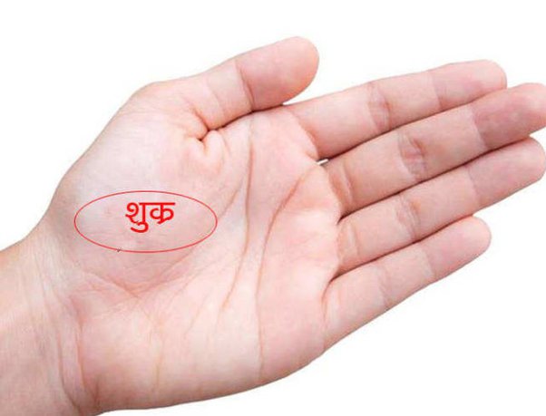 Know what is the Mount of Venus and where it is located Know what is the Mount of Venus and where it is located